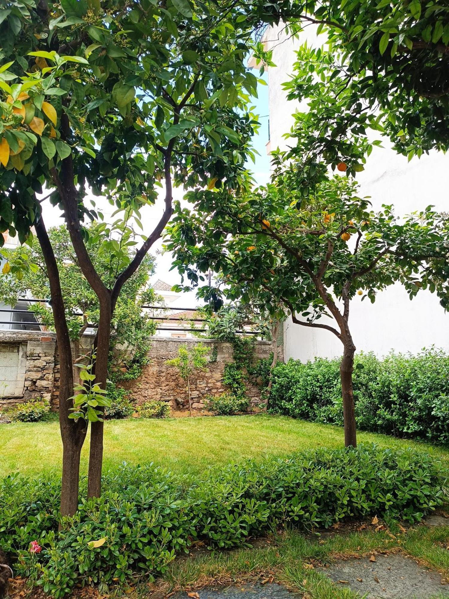 Villa Betty'S Garden House à Néa Ankhíalos Extérieur photo