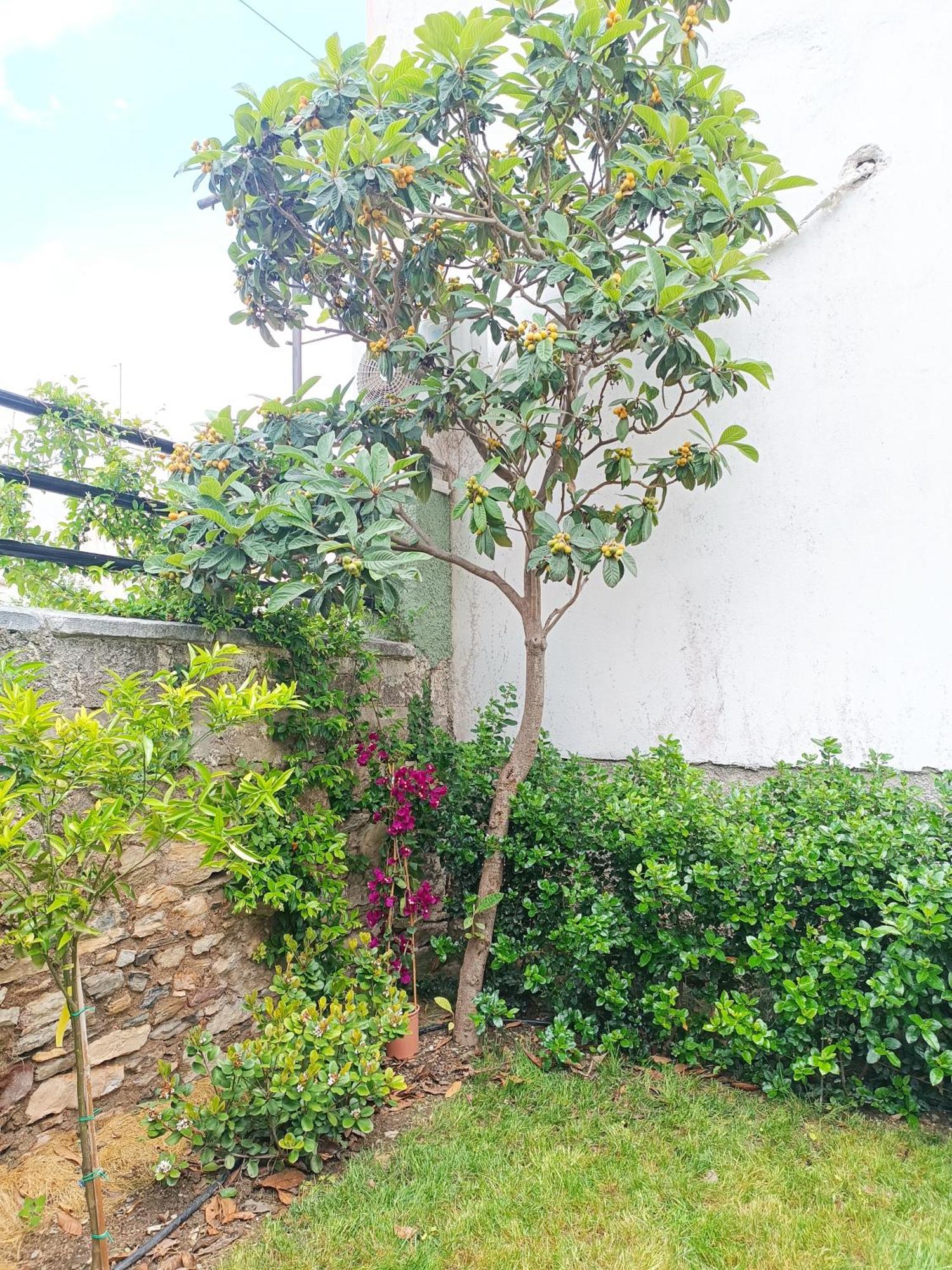 Villa Betty'S Garden House à Néa Ankhíalos Chambre photo